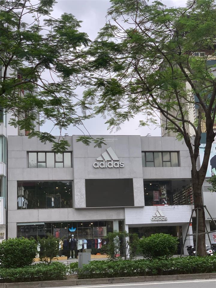 Bán nhà mặt phố cao bá quát, 530m2, mt 15.5m! xây building cực đẹp!