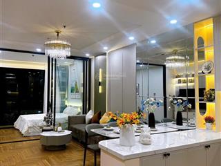 Duy nhất 1 căn! bán căn hộ 1 phòng ngủ tại times city bán giá 5.6 tỷ