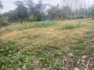 Bán mảnh đất chính chủ hơn 1 nghìn mét  phú thọ