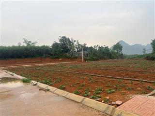 Bán đất nền thanh hoá, sổ đỏ trao tay