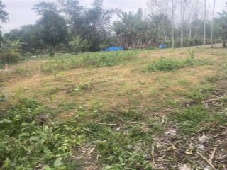 Thanh lý gấp mảnh đất chính chủ hơn 1 nghìn mét  phú thọ