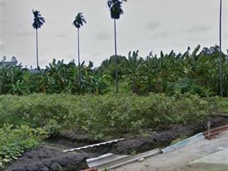 Bán đất 25x62m full thổ cư giá 25 triệu/m2 Đường 6m Thạnh Xuân 52