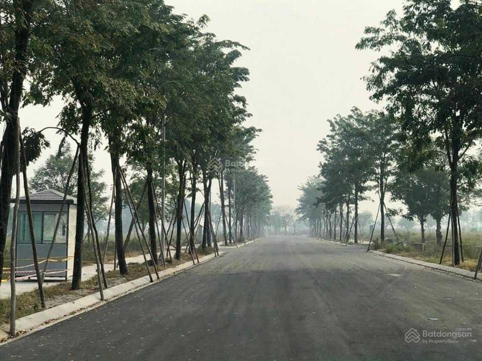Bán đất biệt thự dự án minh giang đầm và, dt 168m2, giá bán 30tr/m2