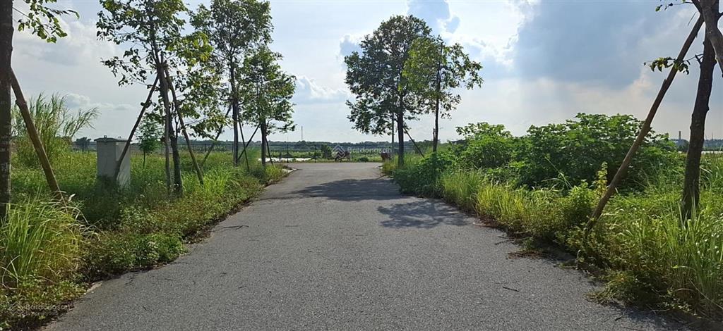 Bán liền kề mặt đường 48m dự án minh giang đầm và, mặt tiền rộng, giá tốt