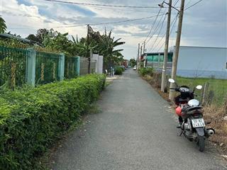 Bán 3000m² đất nhà vườn xã hòa phú, huyện cần đước, long an  giáp ranh tp tân an, giá tốt
