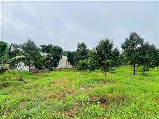 Cô cần bán đất thổ vườn 550m2 giá 500 triệu, có vườn cây trái, đường nhựa ngay trung tâm hành chính