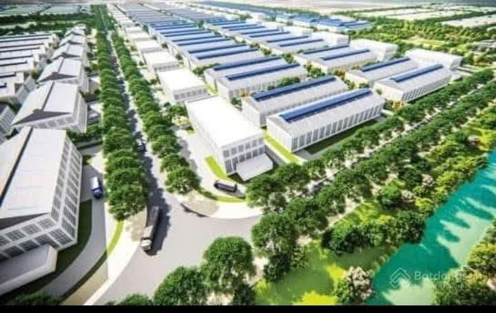 Đất đường đá thôn đoàn kết, xã mỹ lộc, huyện thái thụy
giờ là xã đông thái ninh
diện tích 100m
ki