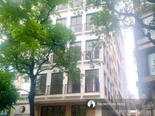 Bán nhà mặt phố láng hạ, lô góc, 7 tầng thang máy 135m2 mt rộng 47 tỷ