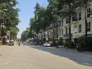 Mặt đường 30m  view biệt thự  50m ra công viên đô nghĩa  kinh doanh sầm uất  6 oto tránh