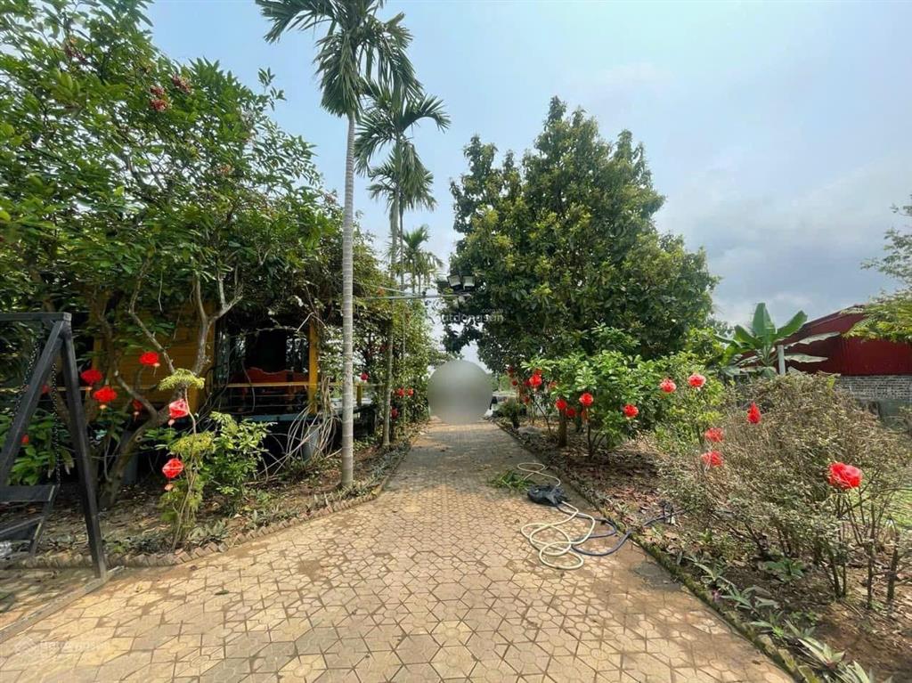 Siêu phẩm nhà vườn nghỉ dưỡng gần khu du lịch quốc tế đồi rồng đồ sơn, gần 4000m2 giá chỉ 13,8 tỷ