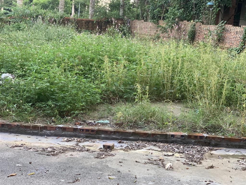Bán đất đồng trúc 130 m², giá 3,6 tỷ
