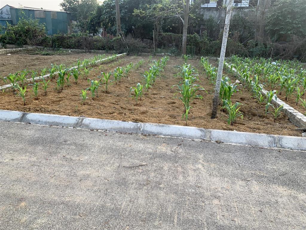 Bán đất phú cát, huyện quốc oai 100 m2 mặt tiền 6 m giá 2,4 tỷ