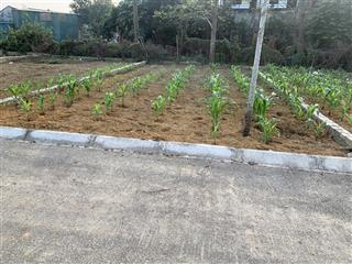 Bán đất phú cát huyện quốc oai 100 m2 mặt tiền 6 m giá 3,2 tỷ