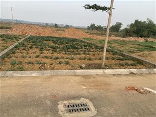 Bán đất đồng trúc 3100 m2 giá 23 triệu 1 m2