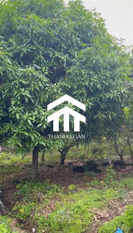 Chủ bán gấp 2 sào xuân thọ cách ga bảo chánh 5 phút giá cực rẻ