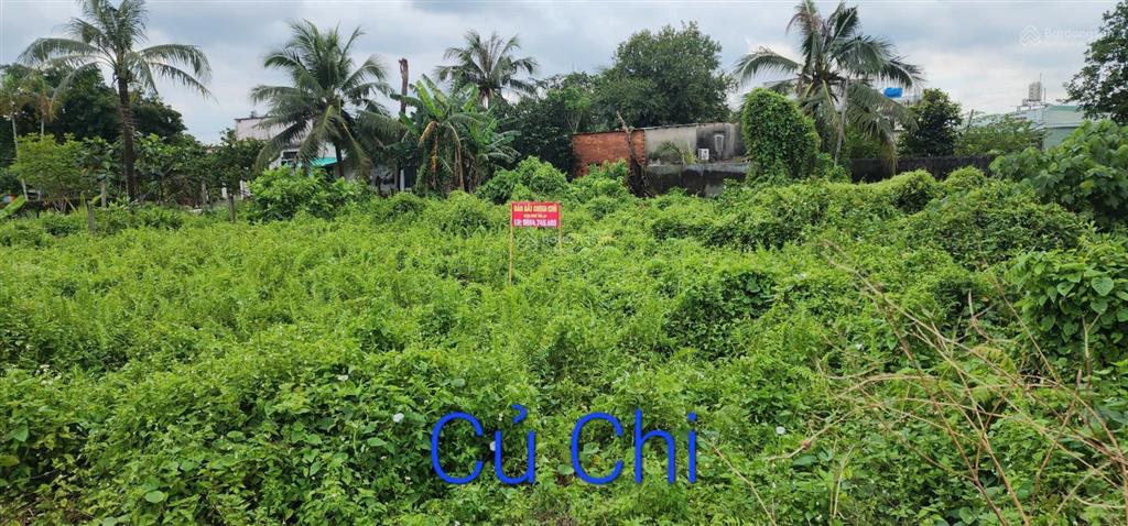 Bán đất shr có thổ cư dt gần 1000m2 đường hà duy phiên đường bê tông xe tải vào tới đất