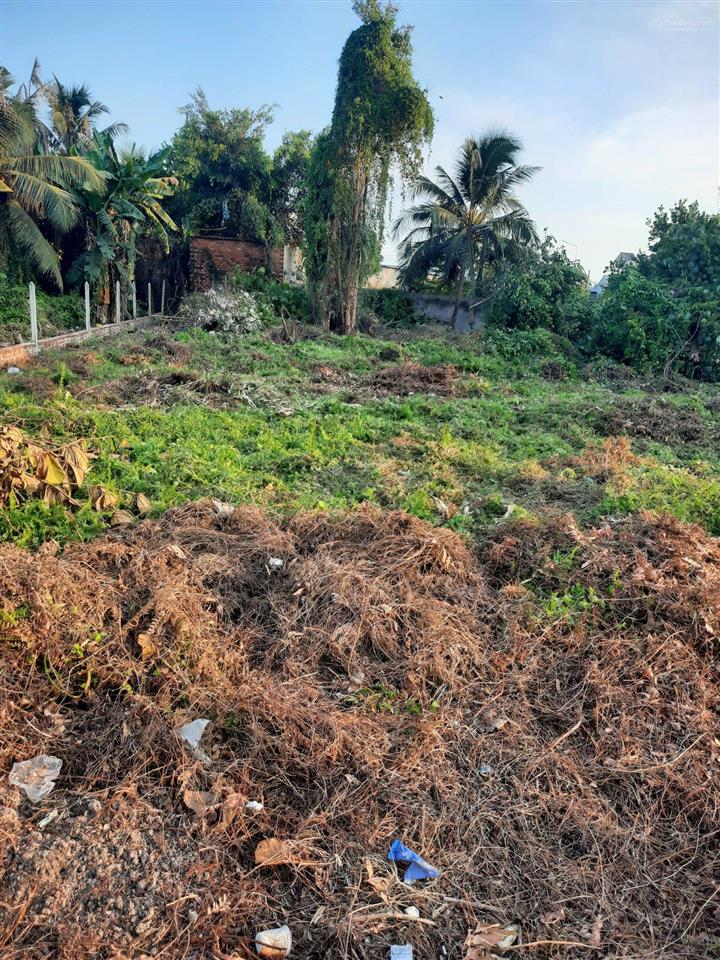 Bán đất shr có thổ cư dt gần 1000m2 đường hà duy phiên đường bê tông xe tải vào tới đất