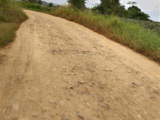 Đất nông nghiệp, trồng cây lâu năm  0904 375 ***