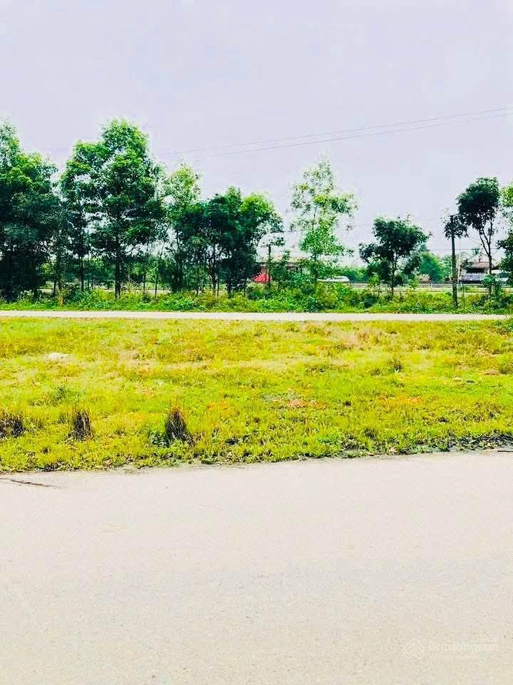 Bán đất 200m2 cách vsip vài bước chân giá siêu hời tại quốc lộ 1a, hải thượng, hải lăng, quảng trị