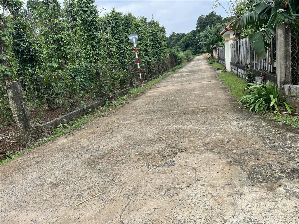 Bán đất bhk có thể lên thổ cư tại xã vĩnh hiền, vĩnh linh, quảng trị, 350 triệu, 1500m2