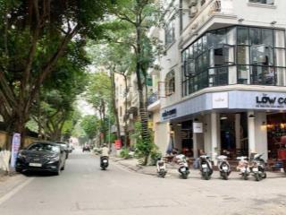 Bán tòa nhà văn phòng mp nguyễn văn ngọc 115m2 6 tầng thang máy, nhà lô góc, mặt tiền 8m