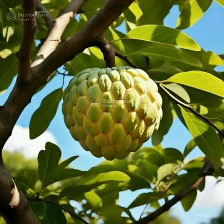 Bán nhanh căn hộ chung cư thủy tiên resort, view đẹp tầng đẹp full nt. xin  0909 271 ***