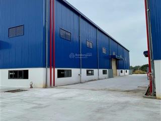 Cho thuê 5.600m2 nhà xưởng mới 100% tân uyên bình dương pccc tự động