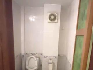 Hoa hậu phố đào tấn, sẵn nhà 4 tầng, mặt ngõ kinh doanh