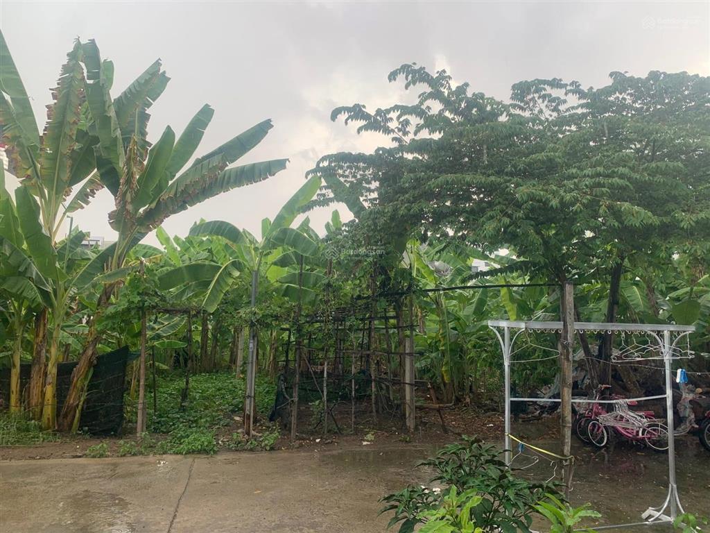 Bán lô đất thổ cư phú ân nam 3, diên an, diên khánh giá 1tỷ3