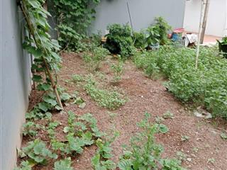 Bán đất tại tả thanh oai, 2,9 tỷ, 36m2 đẹp xuất sắc chỉ với
