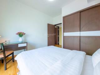 Cho thuê căn hộ 1 ngủ  2 ngủ tại 117 xuân thuỷ  cầu giấy