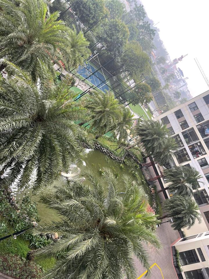 Chính chủ bán căn 1 + 43m2 tầng 5 tòa s302 vinhomes smart city tây mỗ full