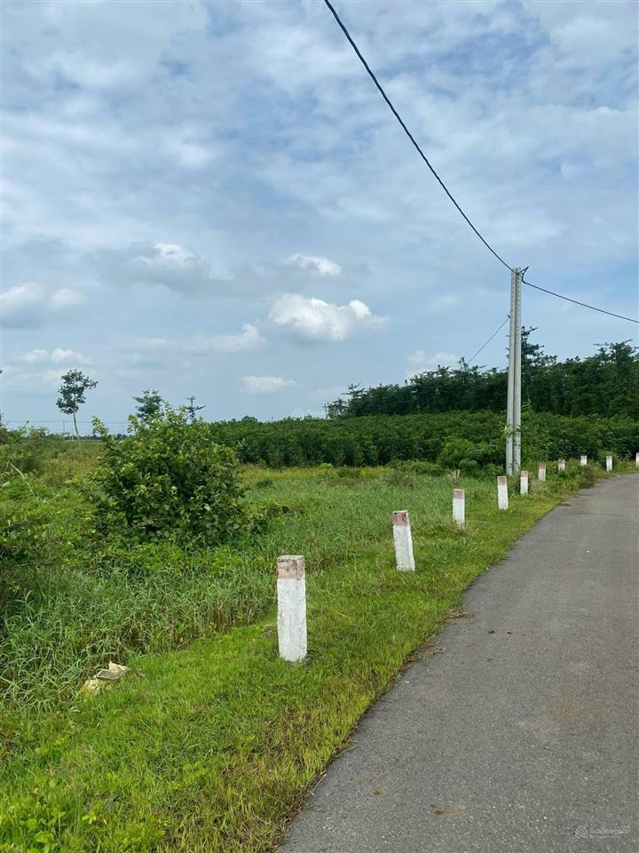 Qsdđ thuộc thửa đất số 689, tờ bản đồ số 116 tại xã nghĩa thành, thành phố hồ chí minh