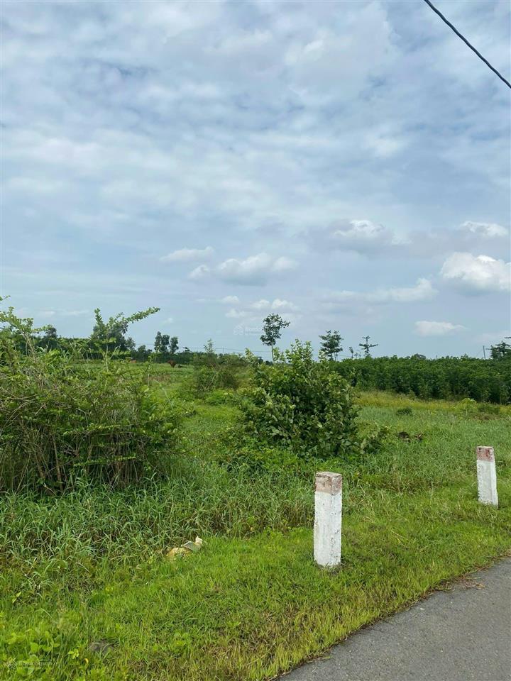 Qsdđ thuộc thửa đất số 689, tờ bản đồ số 116 tại xã nghĩa thành, thành phố hồ chí minh