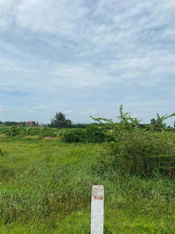 Qsdđ thuộc thửa đất số 689, tờ bản đồ số 116 tại xã nghĩa thành, thành phố hồ chí minh