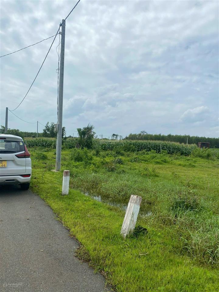 Qsdđ thuộc thửa đất số 689, tờ bản đồ số 116 tại xã nghĩa thành, thành phố hồ chí minh