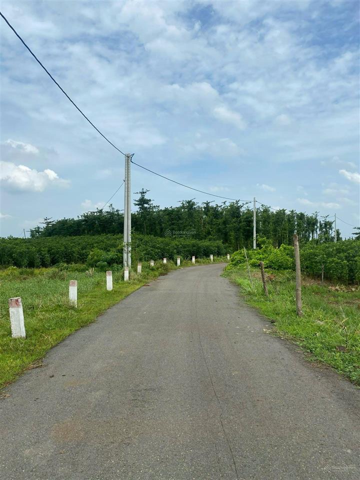 Qsdđ thuộc thửa đất số 689, tờ bản đồ số 116 tại xã nghĩa thành, thành phố hồ chí minh