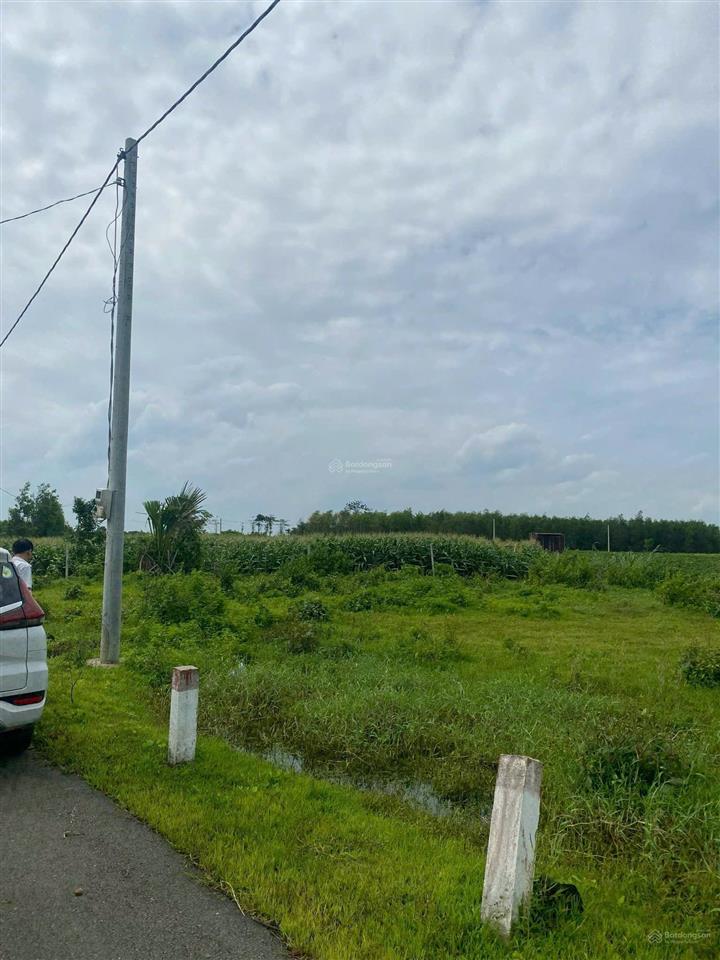 Qsdđ thuộc thửa đất số 689, tờ bản đồ số 116 tại xã nghĩa thành, thành phố hồ chí minh