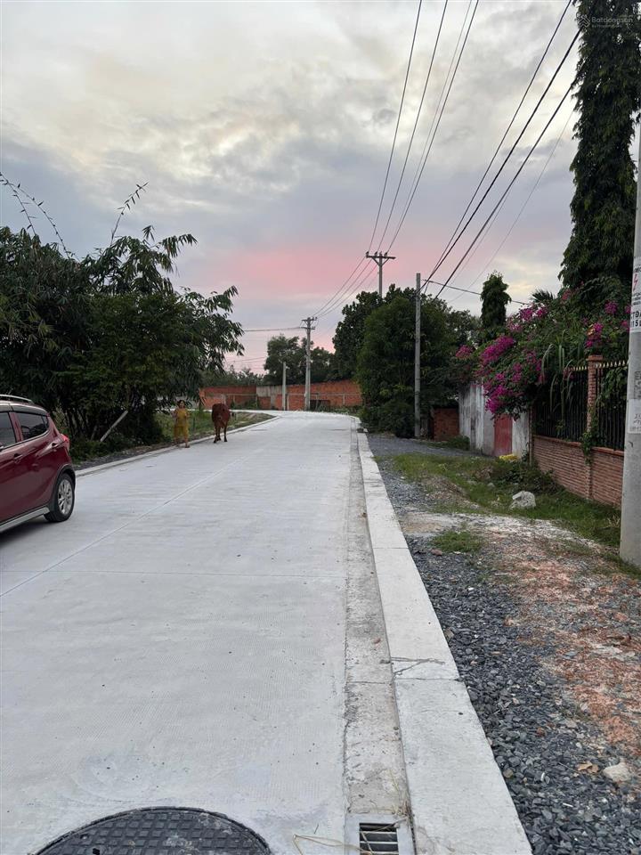 Đất ngộp mùa dịch full thổ cư mặt tiền cao thị đậu, cách đường phú thuận 200m giá cực sốc
