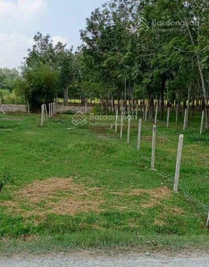 Đất ngộp mùa dịch full thổ cư mặt tiền cao thị đậu, cách đường phú thuận 200m giá cực sốc