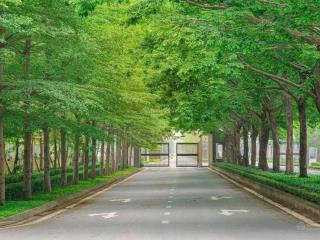 8x tỷ  bán bt tại sunshine city  214m2, view đẹp, đông ngạc, bắc từ liêm, hn