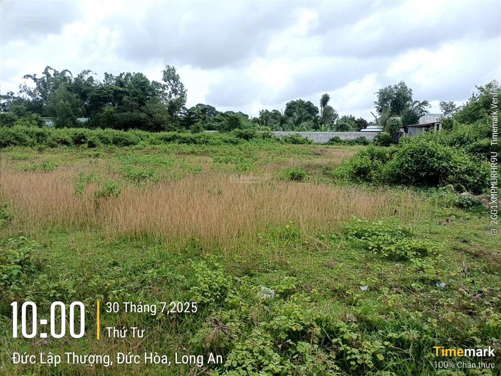 Đất chính chủ 508m2 full thổ cư shr, gần kdc young town