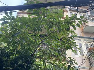 Quận 3  lê văn sỹ  84m2  5 tầng  khu trung tâm  nhà mới ở ngay  12.9 tỷ