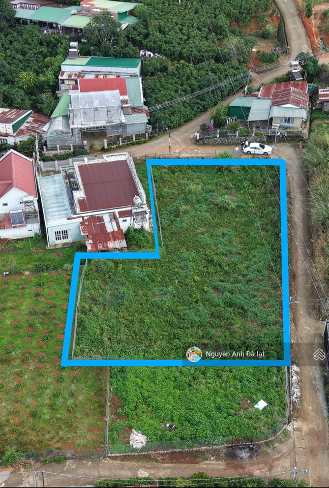 Ngộp 3,3tỷ bán lô đất 952m2 có 420m đất xây dựng tại xuân trường tp đà lạt