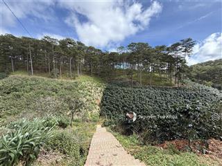 1500m2 sổ riêng xuân thọ đà lạt 38 mét mặt tiền 1tỷ650tr