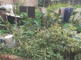 Bán đất  giá rẻ bất ngờ  gần đại học luật cơ sở 2