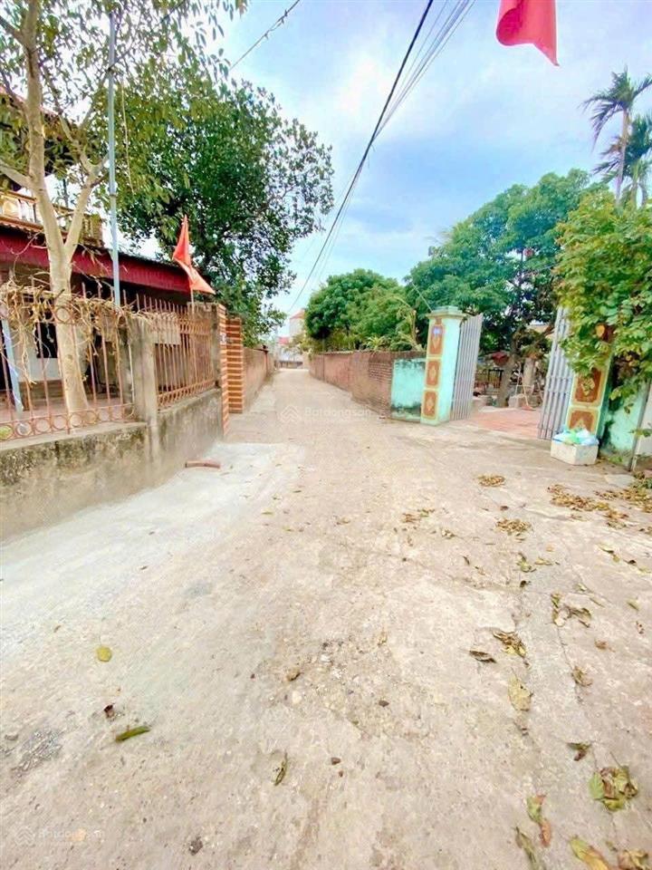 Cần tìm nhà đầu tư cho lô đất tại cộng hòa, phù linh, sóc sơn, hà nội