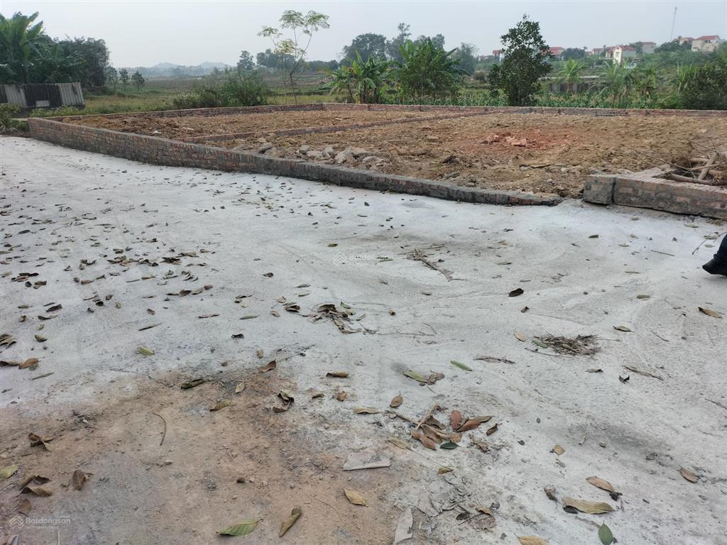 Cần tìm nhà đầu tư cho lô đất tại xuân đồng, sóc sơn, hà nội
