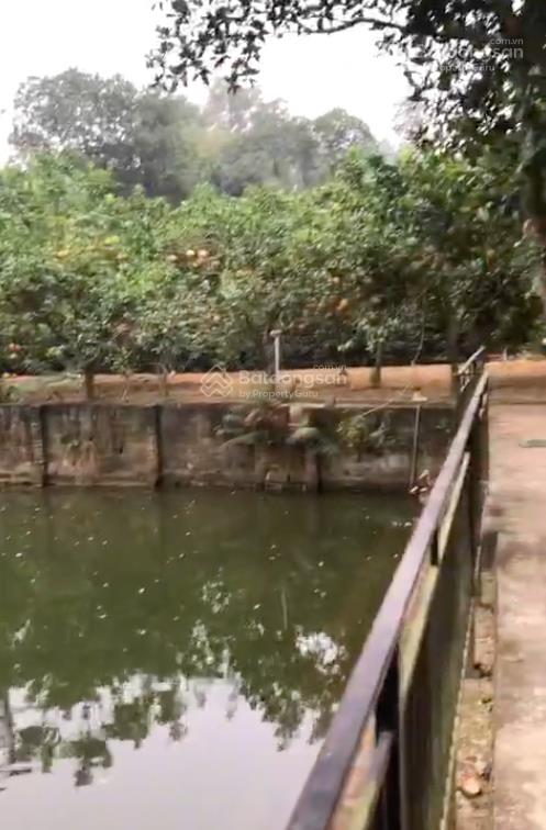 Bán 3160m2 đất, nhà xây mái thái, đủ tiện nghi, chương mỹ, hà nội, giá 6,5 tỷ.  0867 313 ***