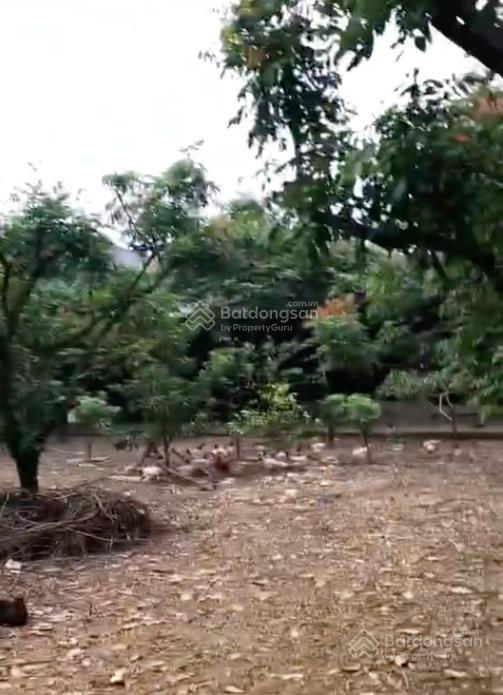 Bán 3160m2 đất, nhà xây mái thái, đủ tiện nghi, chương mỹ, hà nội, giá 6,5 tỷ.  0867 313 ***